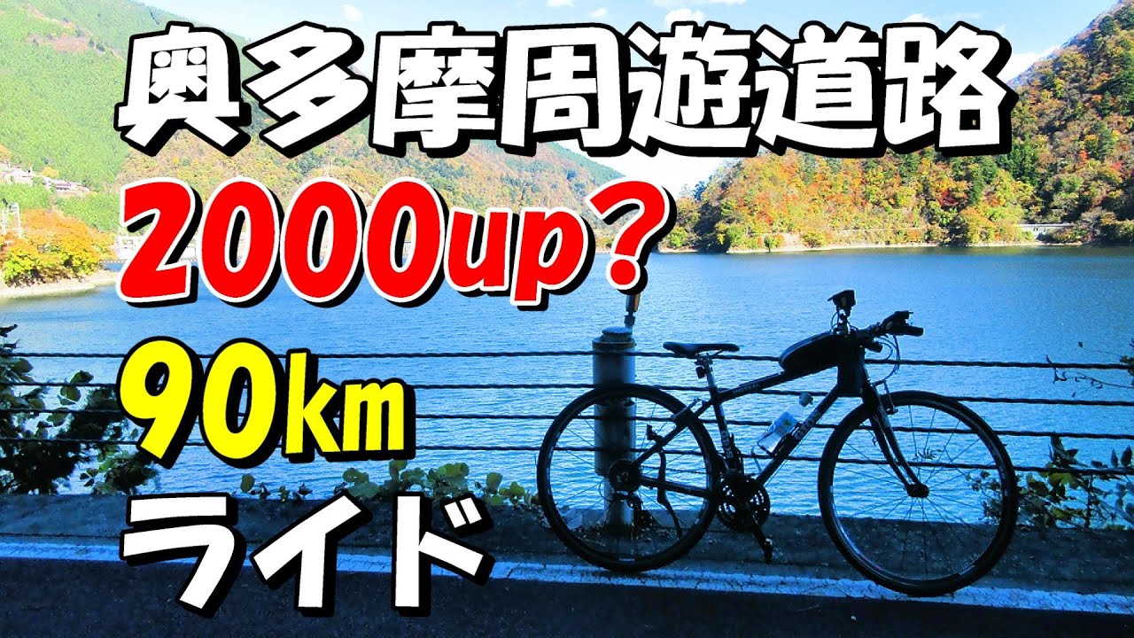 【クロスバイク】東京の聖地 奥多摩周遊道路の都民の森にジオスミストラルでチャレンジしてみた【2024年】