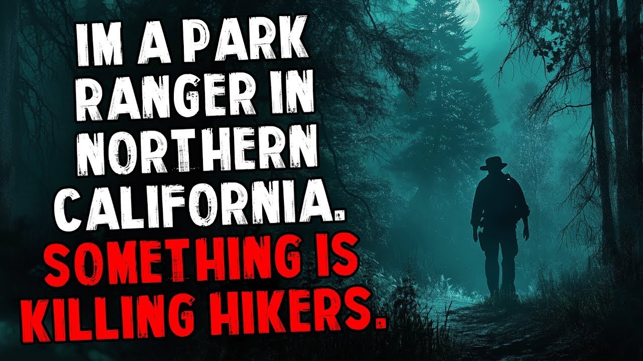 I'm a Park Ranger in Northern California  Something Is Killing Hikers