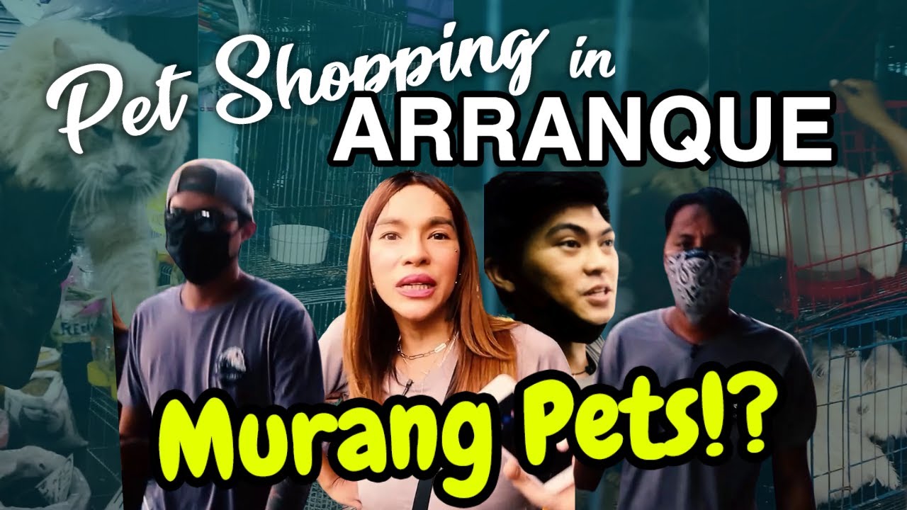 ARRANQUE MARKET TOUR with PACKBOYS | Wolfpack Exotics
