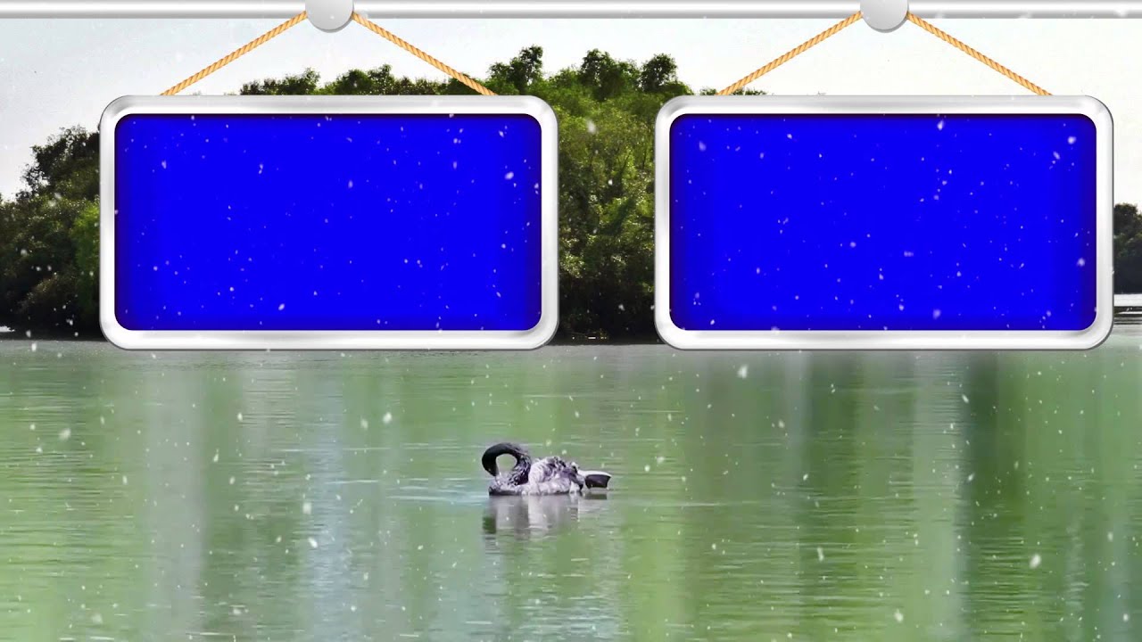 HD Video Background Wedding Loop