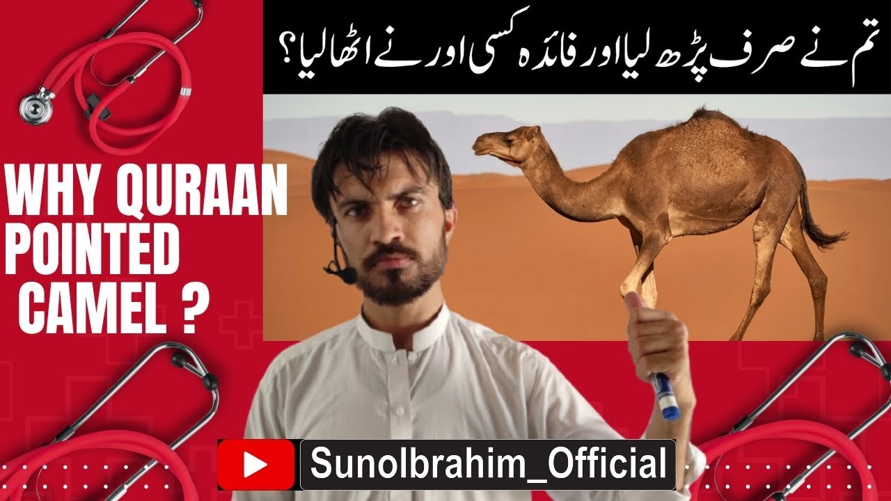 Разве они не смотрят на верблюдов — как они созданы?