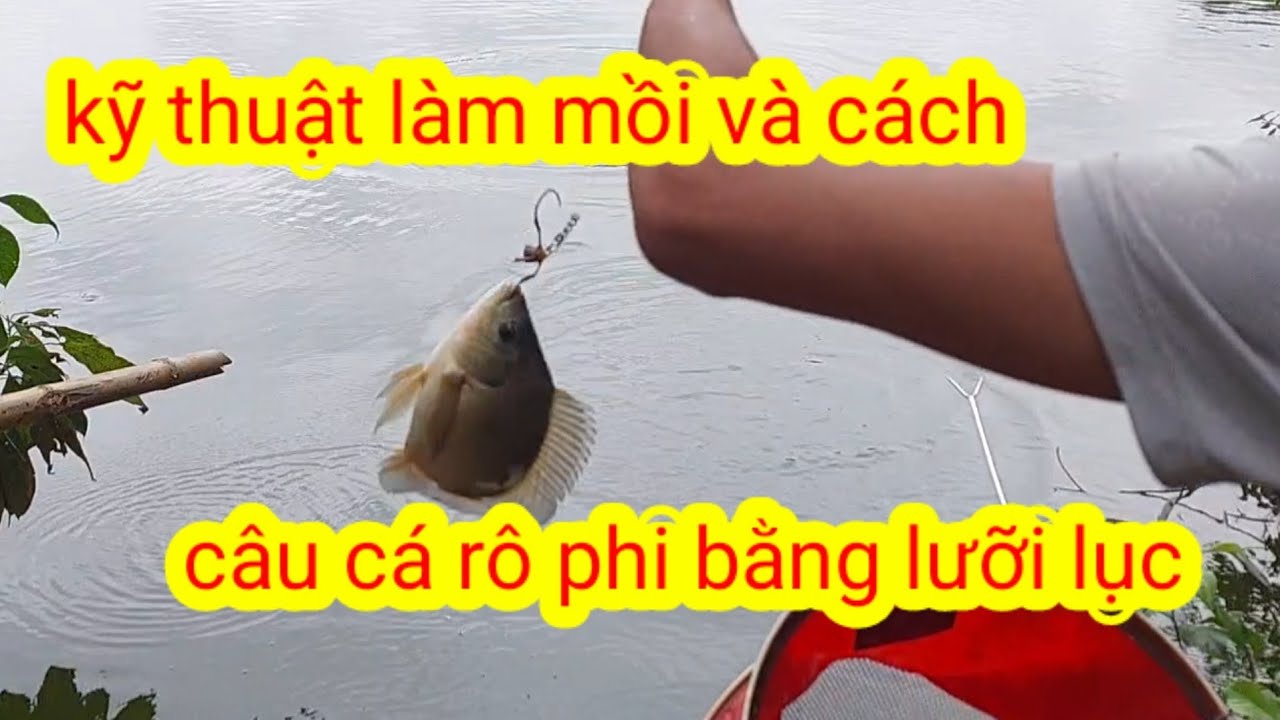 HƯỚNG DẪN ANH EM LÀM MỒI CÂU CÁ RÔ PHI, BẰNG CẦN TAY SỬ DỤNG LƯỠI LỤC. ĐƠN GIẢN HIỆU QUẢ