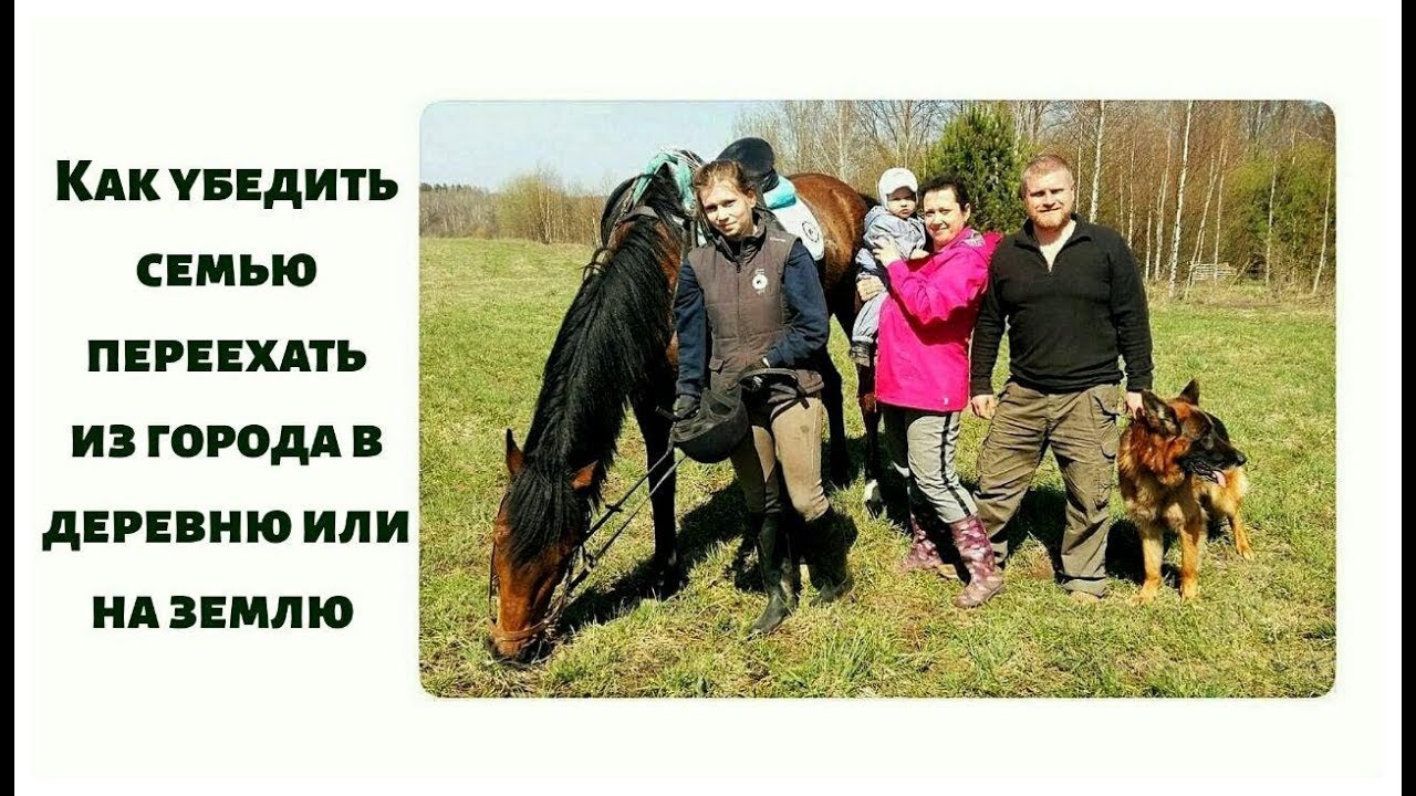 Как убедить семью переехать из города в деревню. (ч. 2 Семья, инфраструктура)