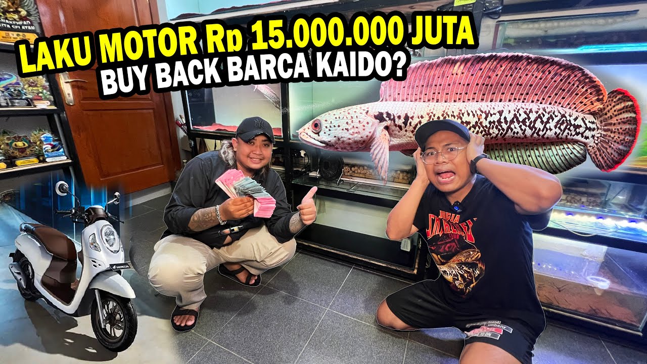 BAWA CASH 15 JUTA?? LAKU JUAL MOTOR BELI BALIK CHANNA BARCA KAIDO