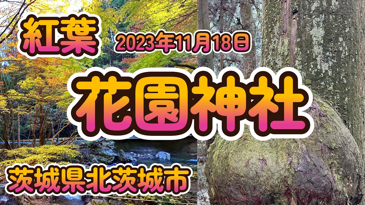 【Vlog】秘境の紅葉「花園神社」茨城県北茨城市 4K