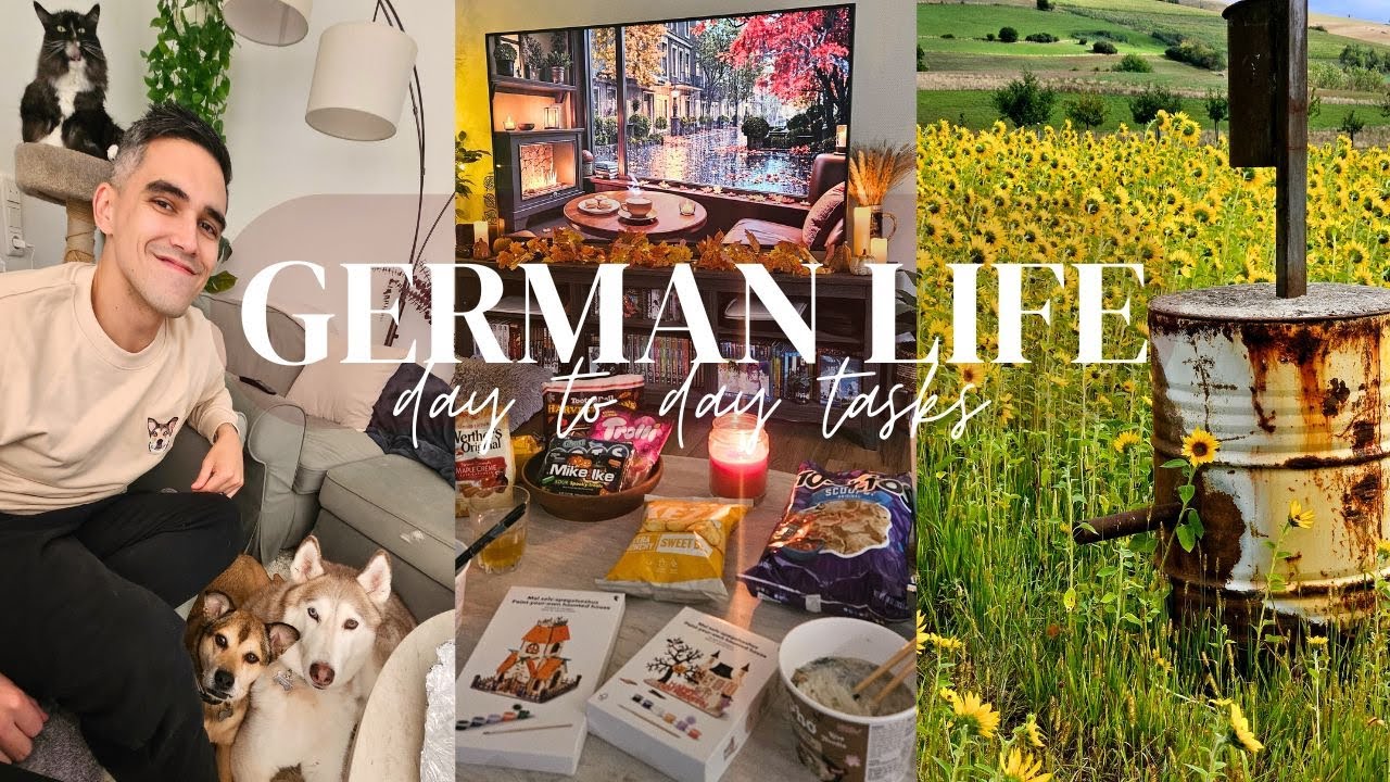 🌻Sunflower Field🌻Life in the German countryside🍂Cozy fall vlog🎃