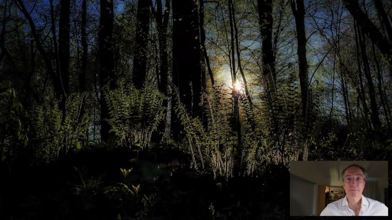 Embodied Presence: Practical Tools for Your Meditation Practice, with Jonathan Foust