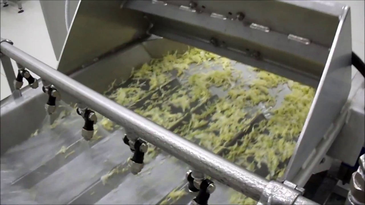 Impianto di lavaggio ortofrutta IV gamma | Favrin Srl