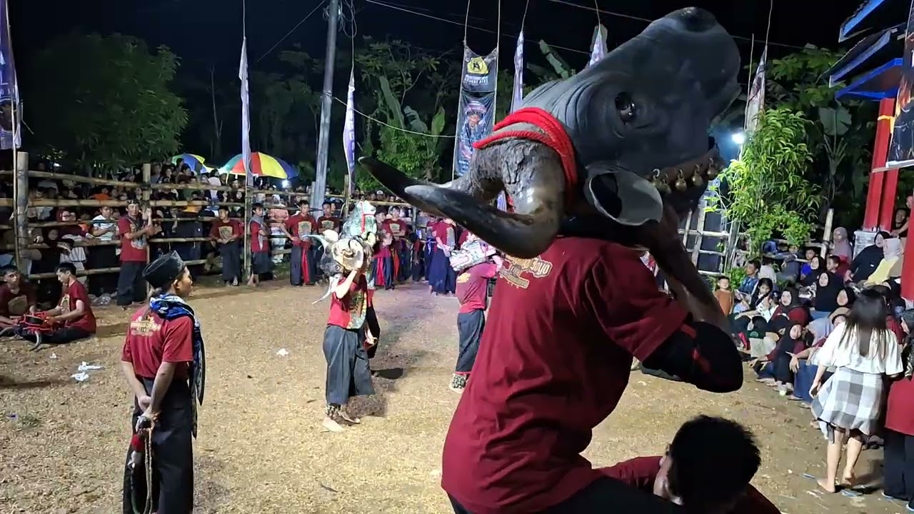 Kalapan Part 2 ~ Manunggal Singo Joyo Lokasi Padepokan MSJ 14/02/2026 