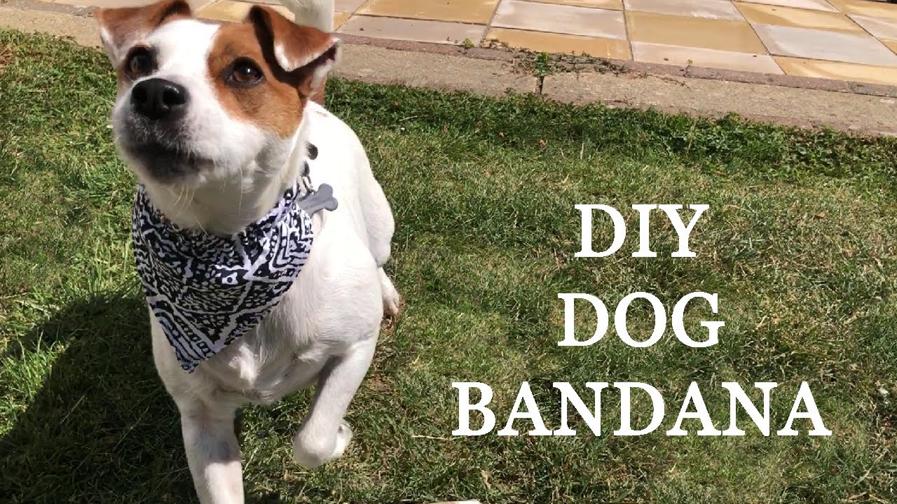 How To Make a Quick and Easy Dog Bandana