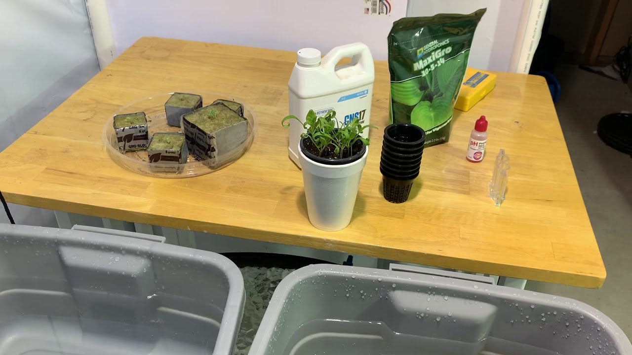 Hydroponic Nutrient - Never Follow Package Instructions