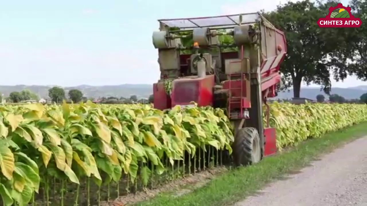 Комбайн для уборки табака / Tobacco harvester