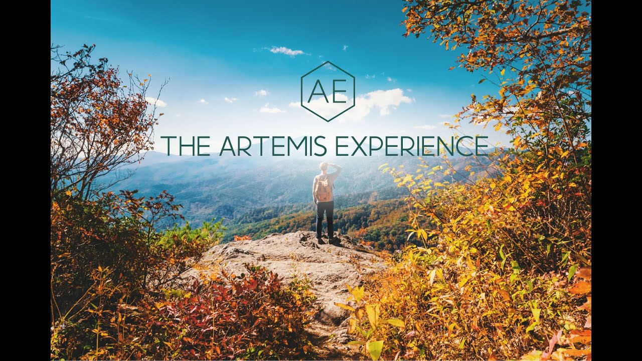 The Artemis Experience