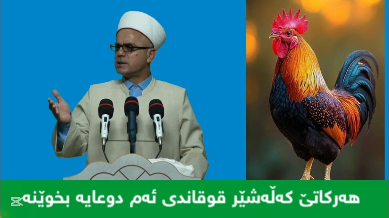 لە کاتی قوقانی کەڵە شێرا ئەم دوعایە بخوێنە مامۆستاتاهیرکەلەباشی