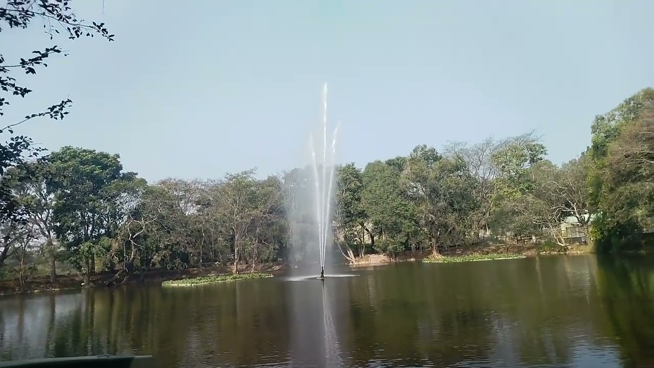 Bannerghatta Biological Park Bengalore. Zoo. Wild Animals