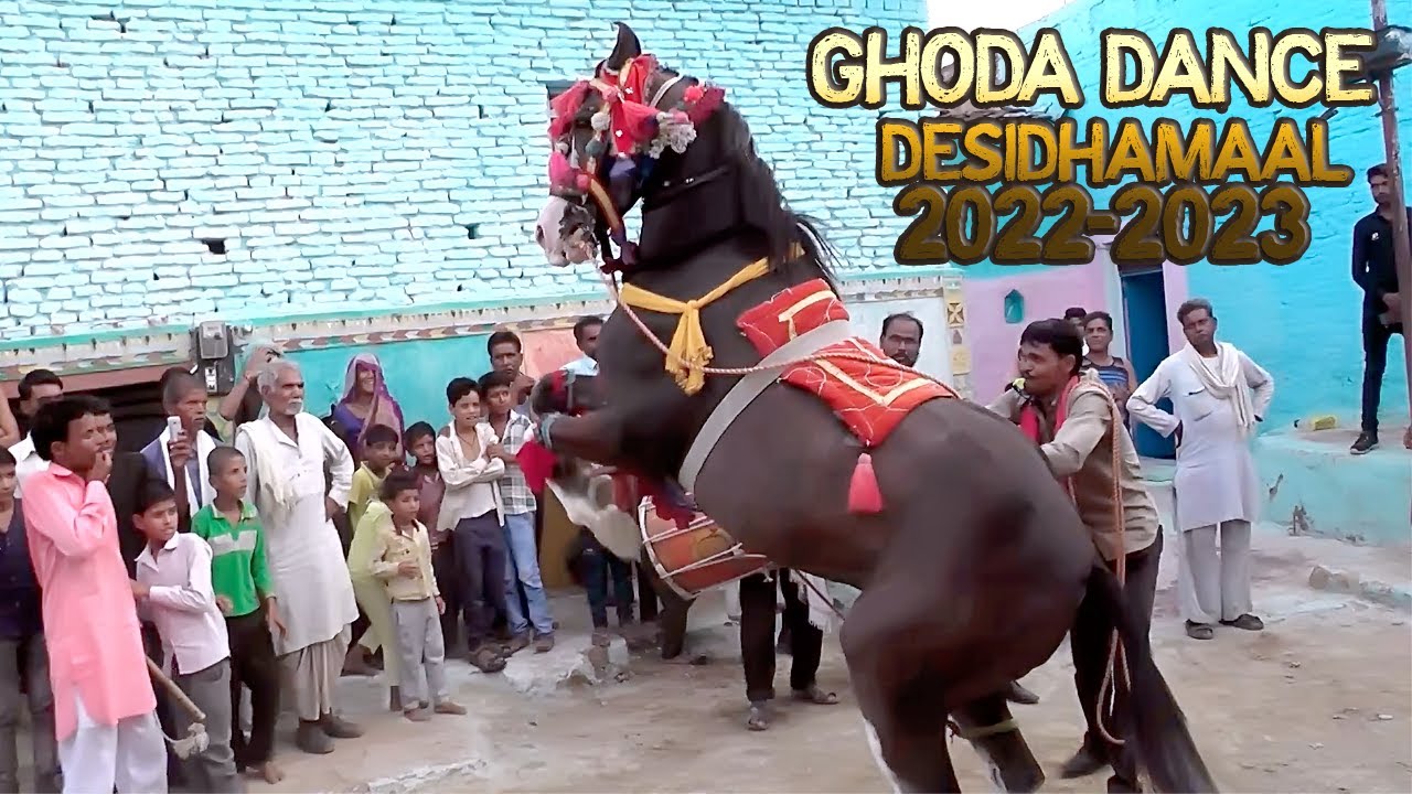 शादियों की मस्ती #घोडा_डांस के साथ ||  wedding fun with ghoda dance  #Desidhamaal2023 #bundeli_dance