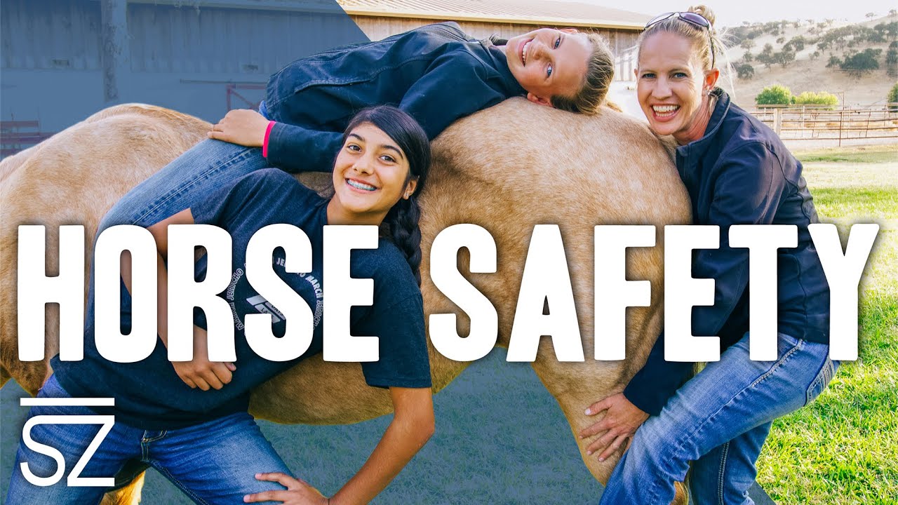 How to Be Safe Around Horses