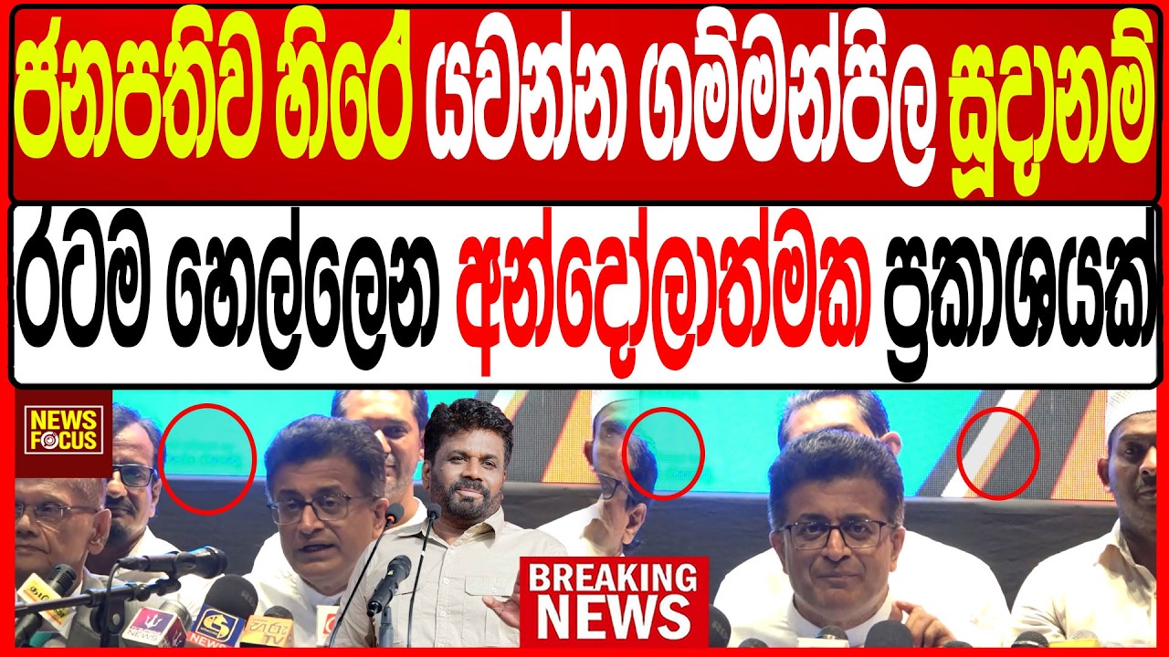 ජනපතිව හිරේ යවන්න ගම්මන්පිල සූදානම් |News Focus