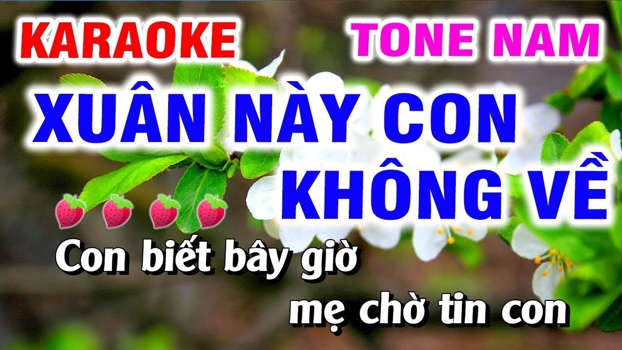 Karaoke Xuân Này Con Không Về Tone Nam Nhạc Sống