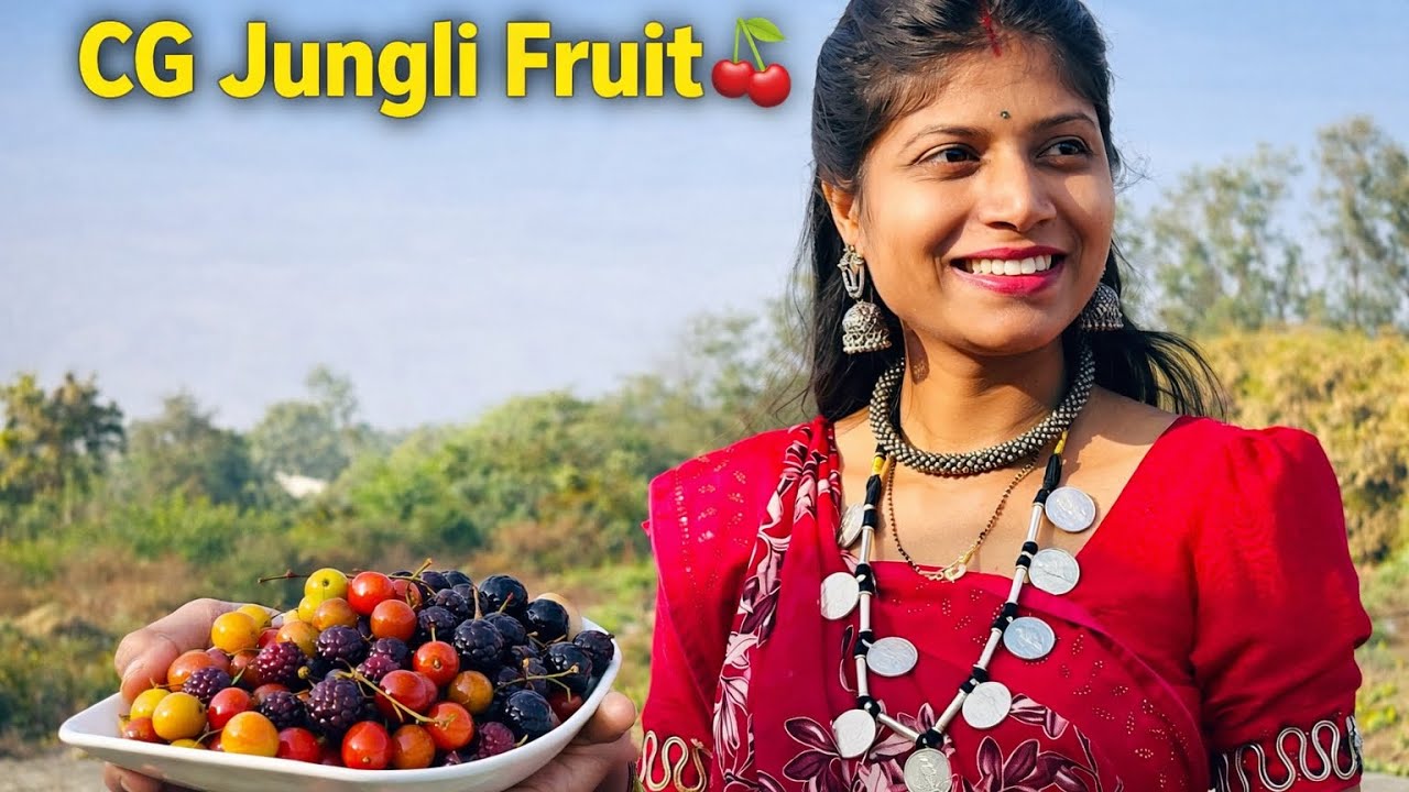 Hamar Chhattisgarh Ke Special Fruit Banboir😋😋#chhattisgarh #vlog #youtube #cgvlog 