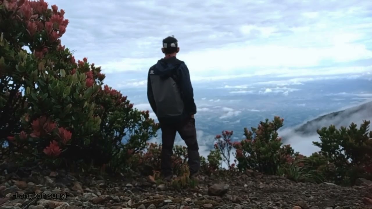 Gunung gede - pangrango - dokumenter | Langkah sunyi #mountains #gedepangrango #sahabatgunung #alam 