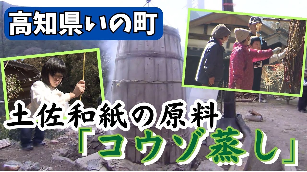 「土佐和紙の原料・コウゾを加工する「コウゾ蒸し」 高知県いの町の冬の伝統作業が今年も行われる」2024/1/29放送