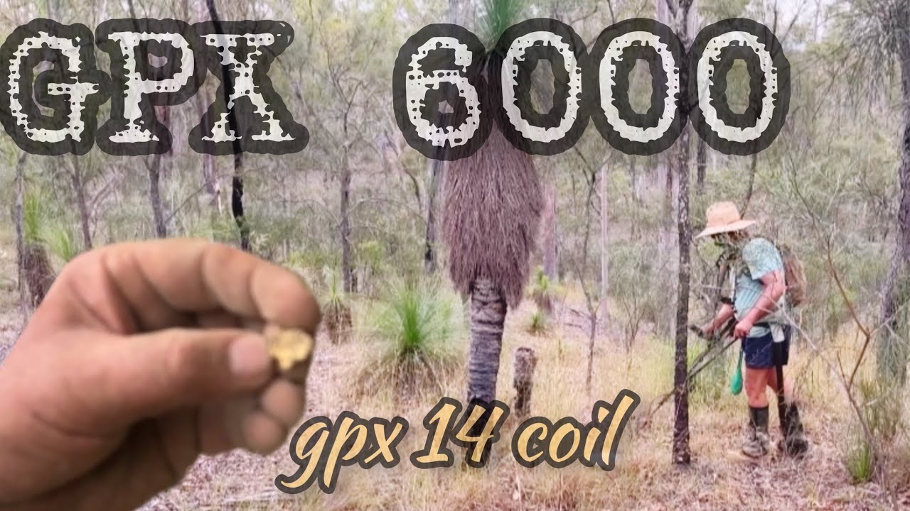 Minelab Gpx 6000 the gpx 14 coil #jenkosgold