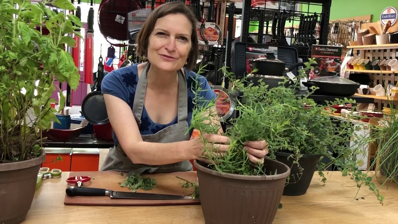 Flavoring Food with Fresh Herbs