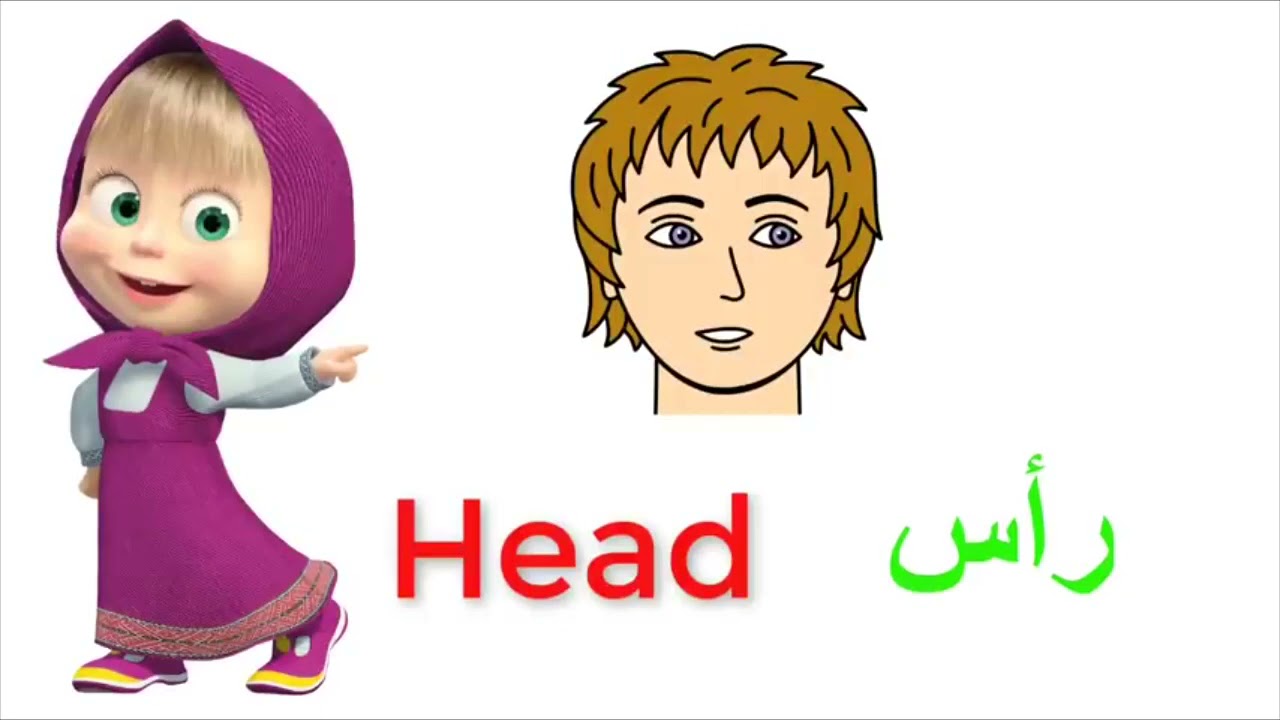 ماشا تعلِّم الأطفال اعضاء الجسم باللغة الانجليزية parts of the body