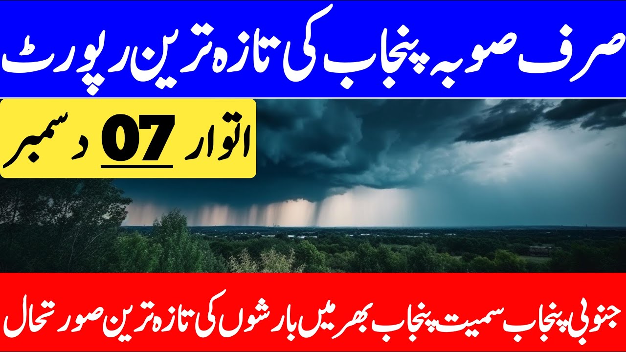 Punjab Weather Update | Dense Fog, Light Rain Expected & Temperature Drop | Punjab Weather Report