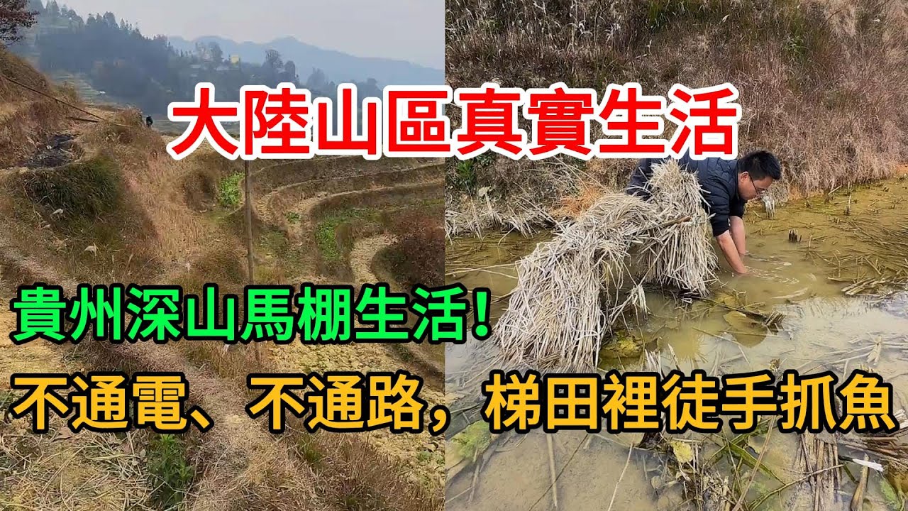 貴州深山馬棚生活！徒手抓野生稻花魚🐟烤全雞🔥荒郊野外過夜超刺激！2026-01-15 10:02:18