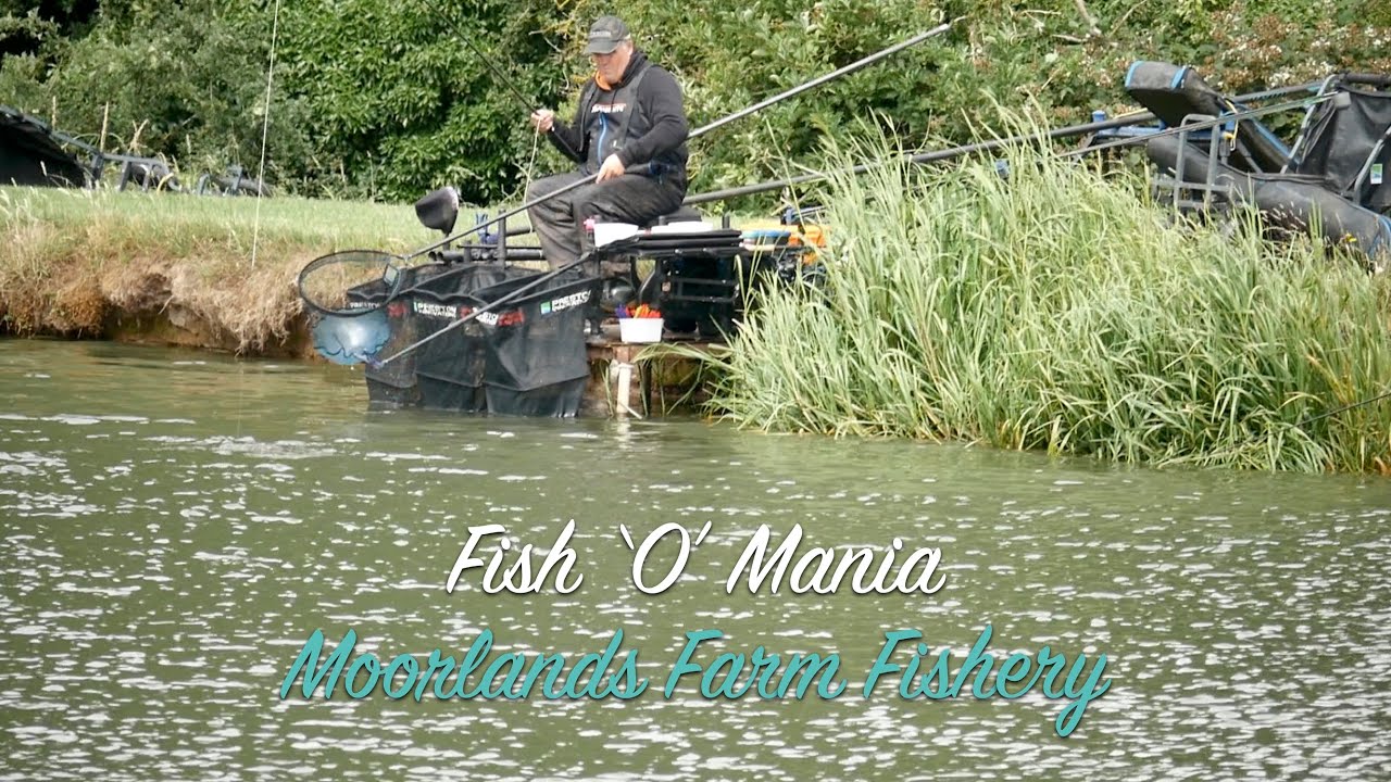LIVE MATCH FISHING //Fish 'O' Mania // Moorlands Farm Fishery // Qualifier 10 // 27.06.20