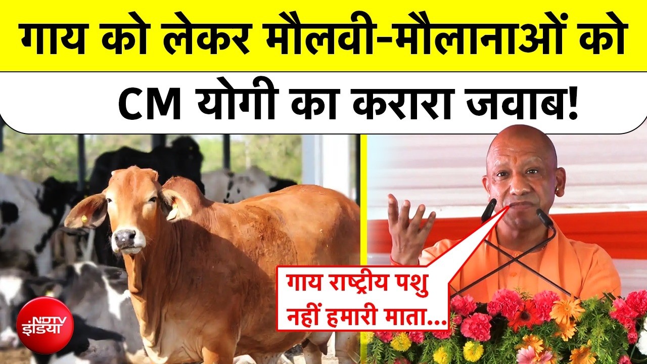 CM Yogi Speech: गाय को लेकर मौलवी-मौलानाओं को सीएम योगी का करारा जवाब!| #shorts #ytshorts #yogi #cow