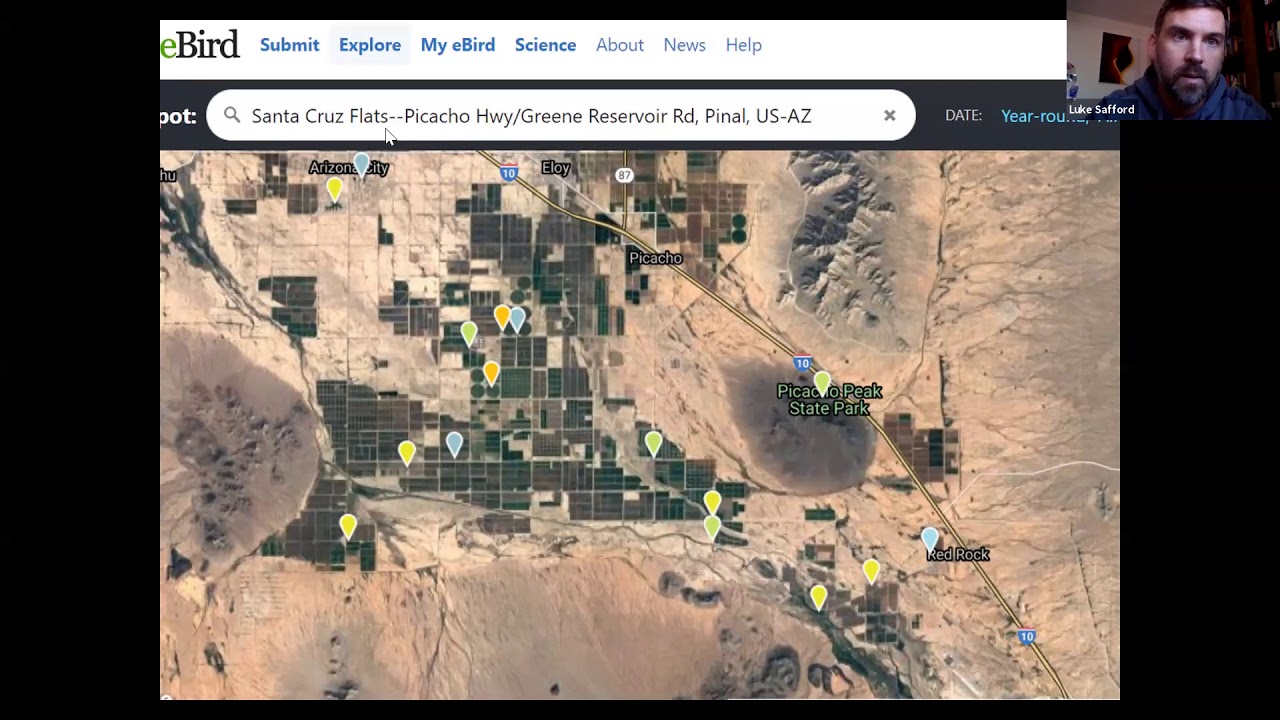 Birding the Calendar: Where to Go Birding in SE Arizona in December