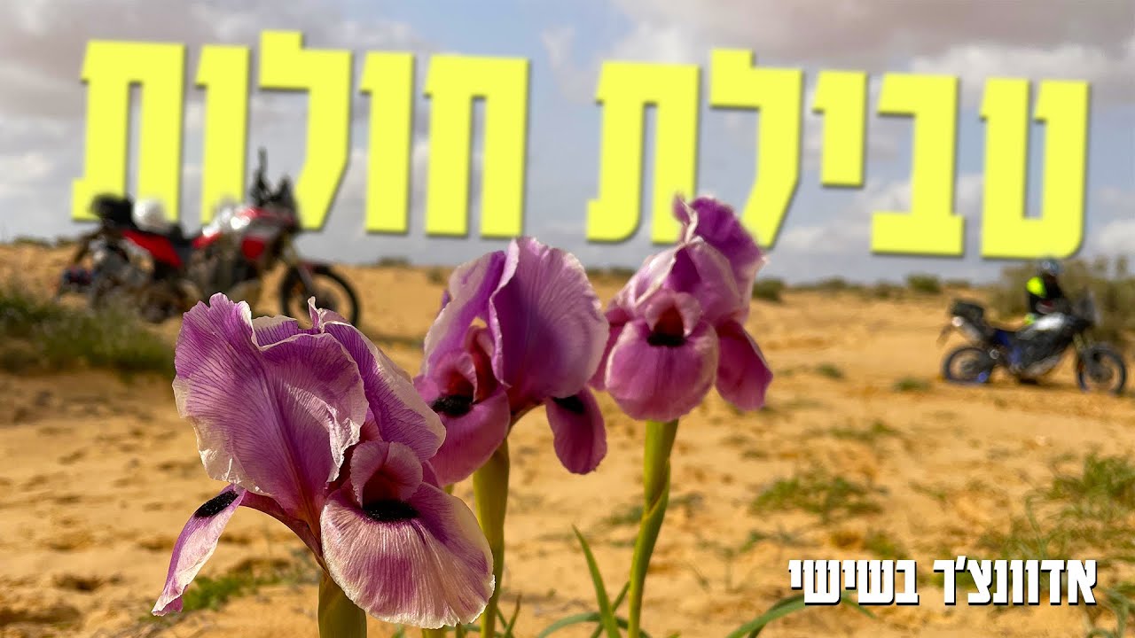 אדוונצ׳ר בשישי: טעימה ראשונה מחולות המדבר