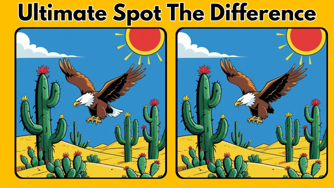Can You Spot All The Differences Before Time Runs Out