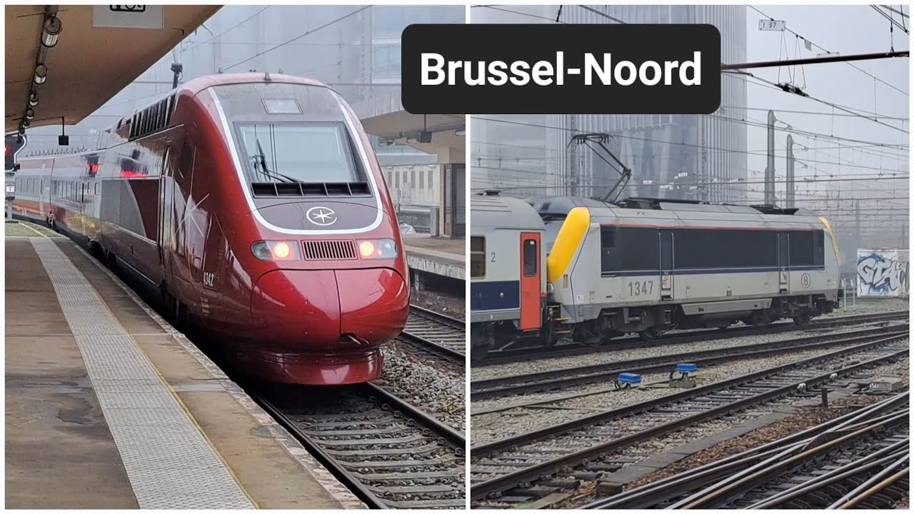 Treinen in de Mist | SNCB NMBS