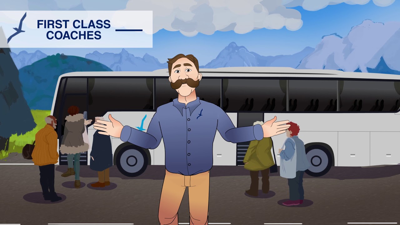 Albatross Tours | Small Groups