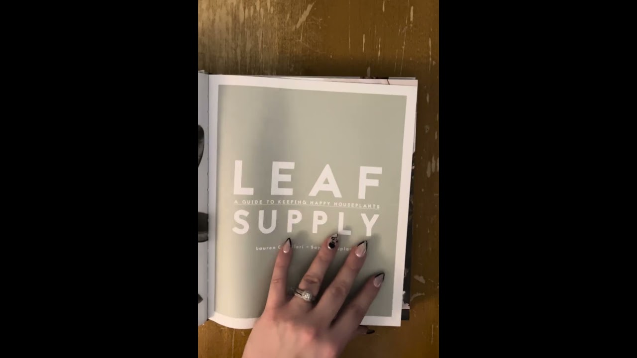Leaf supply book reading tapping and tracing 