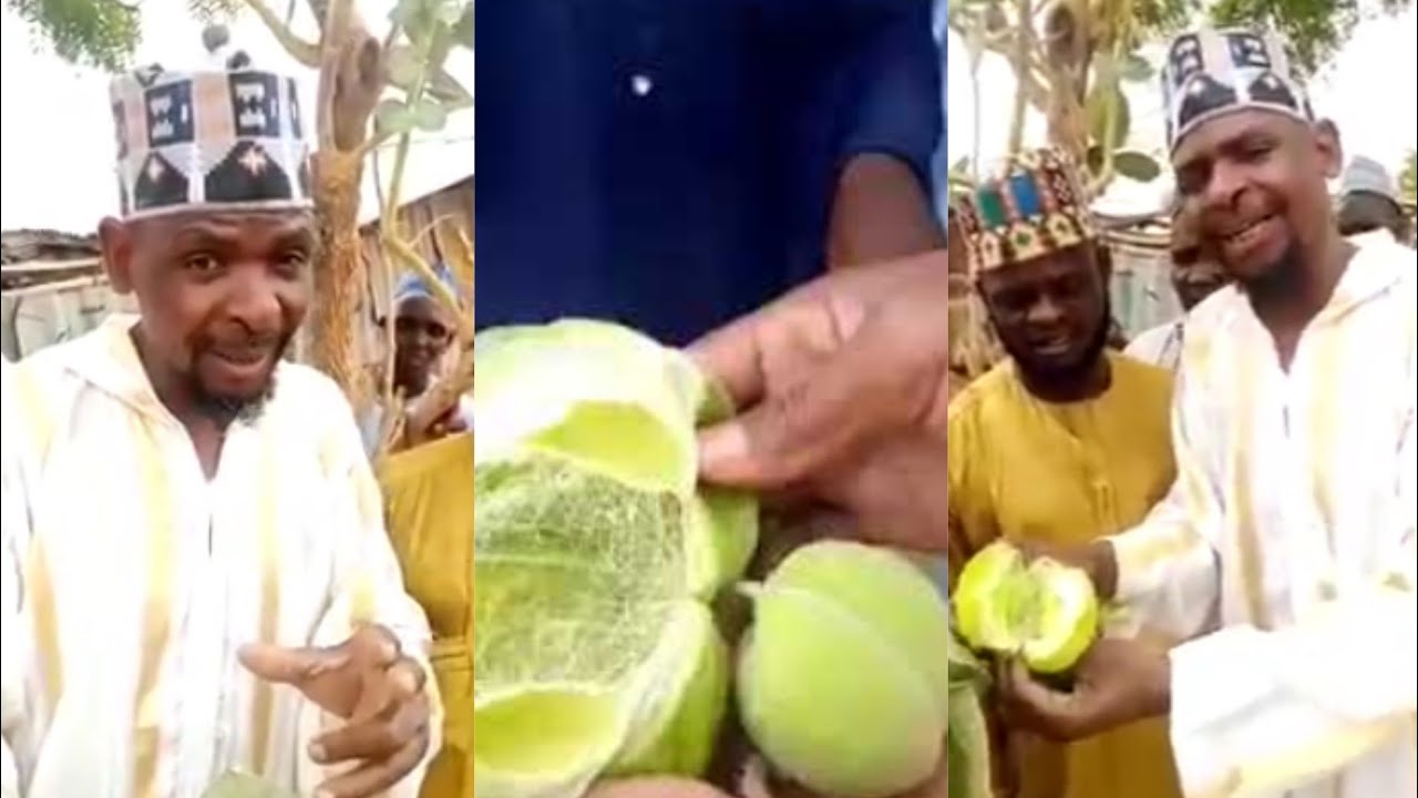 Amfanin Tumfafiya ga Dan Adam