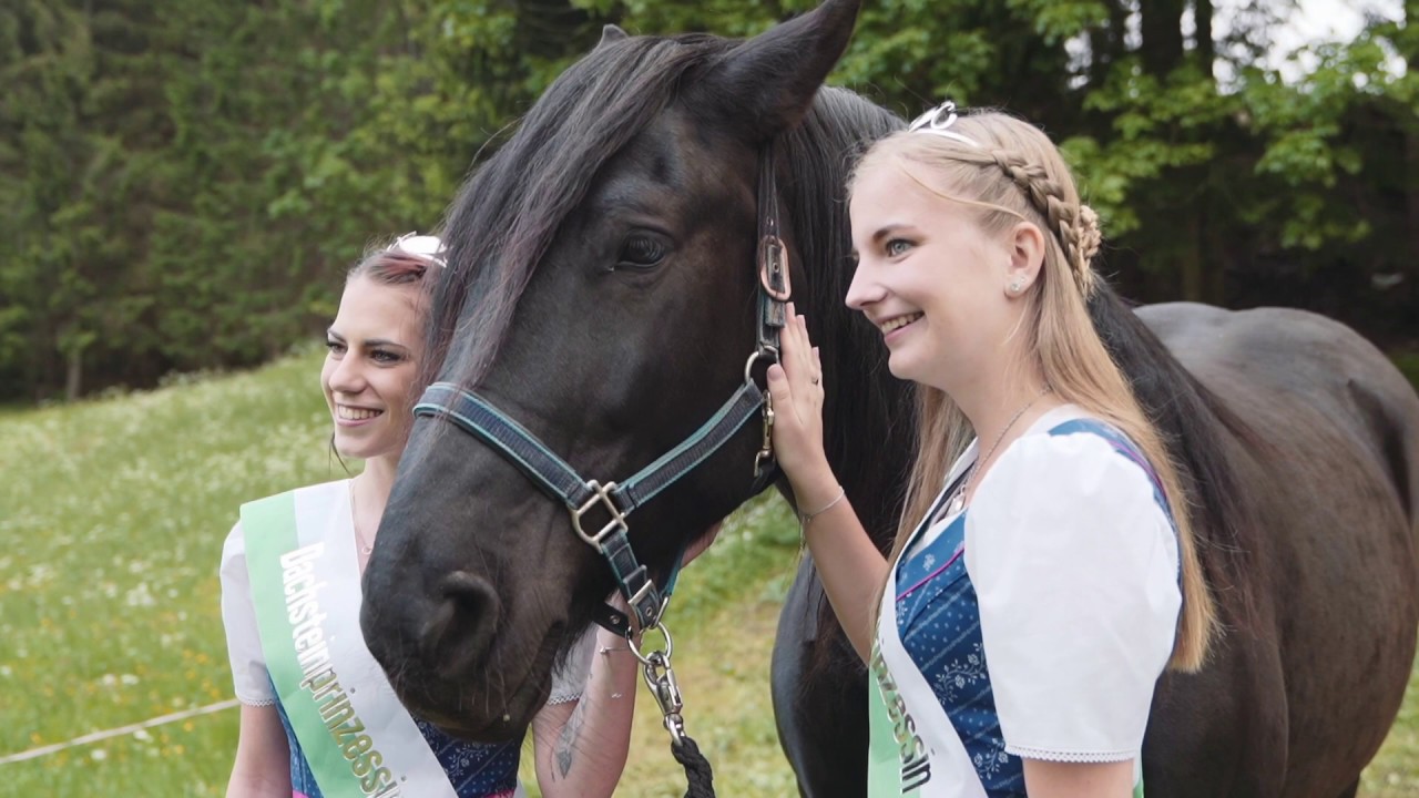 32. Frühlingsfest der Pferde