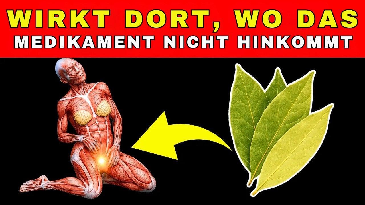 Trink jeden Tag Lorbeerblätter-Tee – du wirst staunen, was passiert!