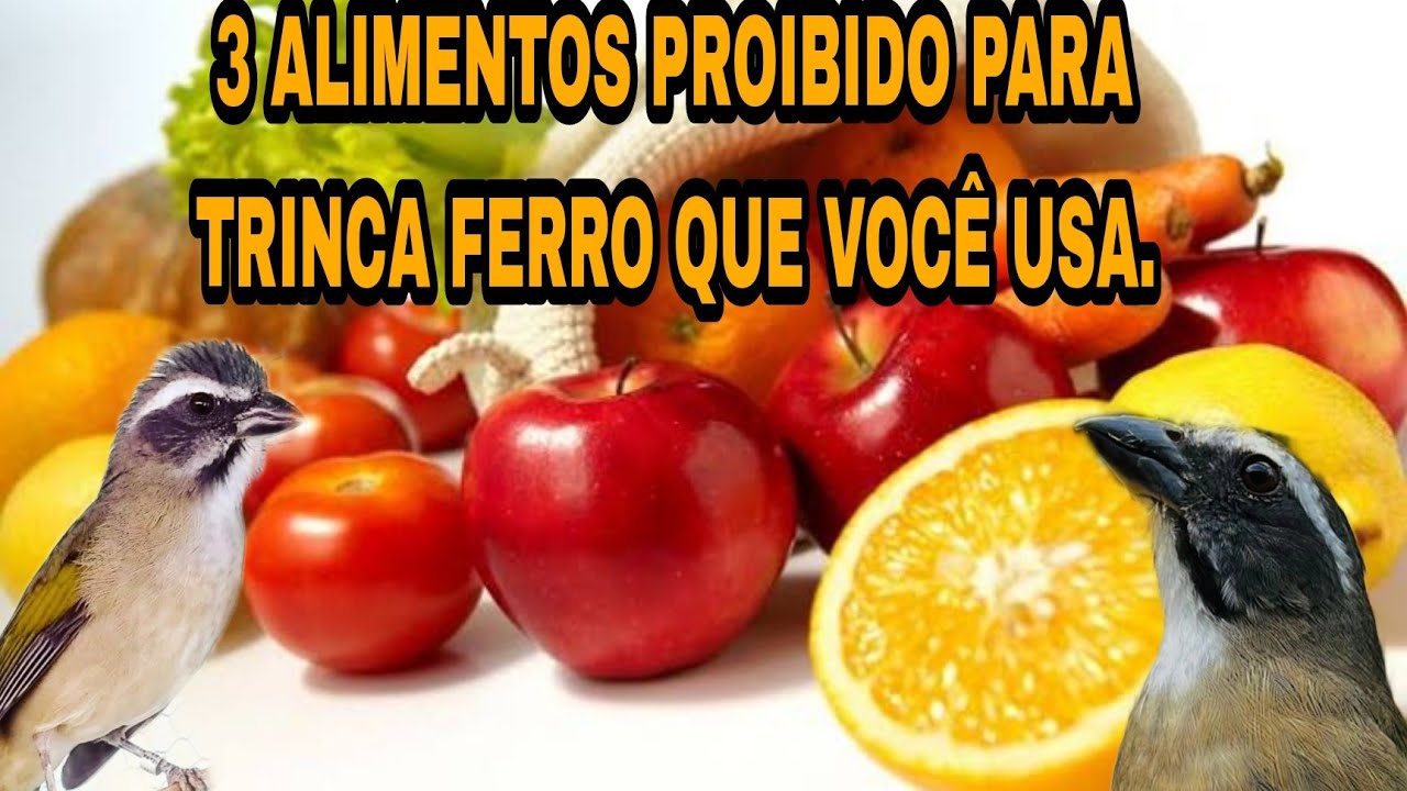 ALIMENTOS PERIGOSO PARA TRINCA FERRO QUE VOCÊ USA SEMPRE E NÃO SABIA.