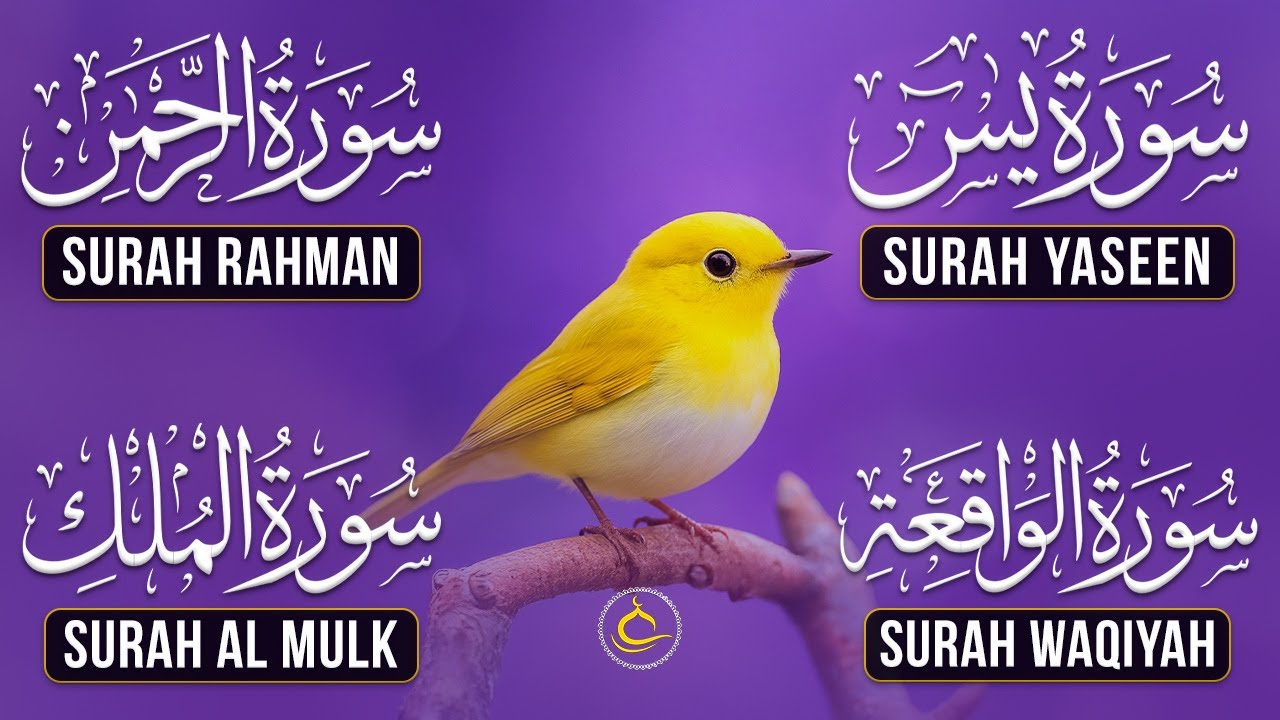 Best Recitation Surah Yaseen (Yasin) | Surah Rahman | Surah Waqiah | Surah Mulk | 029