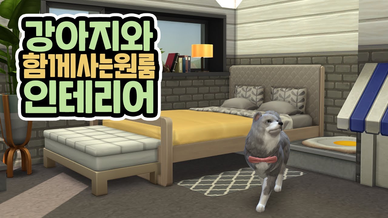 1억 2천 모두 현금이다! 현금빵으로 원룸을 산 강아지? #원룸플리퍼｜심즈4｜베이비하품