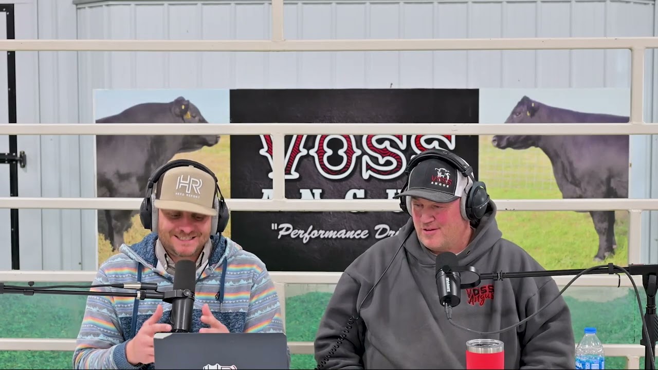 Voss Angus 2026 Sale | Elite Angus Bulls & Donor Females | Dexter, Iowa