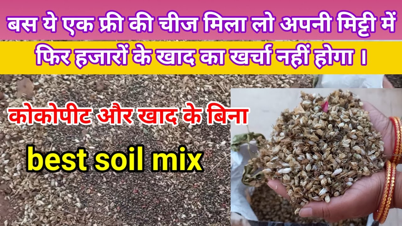बिना खाद और बिना कोकोपीट के हल्की मिट्टी कैसे बनाए। Make soilless media /loose potting mix। #compost