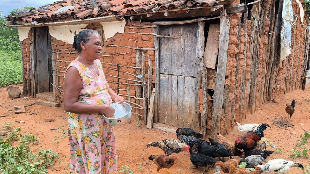 A HIST&Oacute;RIA DE VIDA NO RO&Ccedil;ADO COM DONA NEGA E SEU DITO DE MIRANDIBA NO SERT&Atilde;O PERNAMBUCANO.
