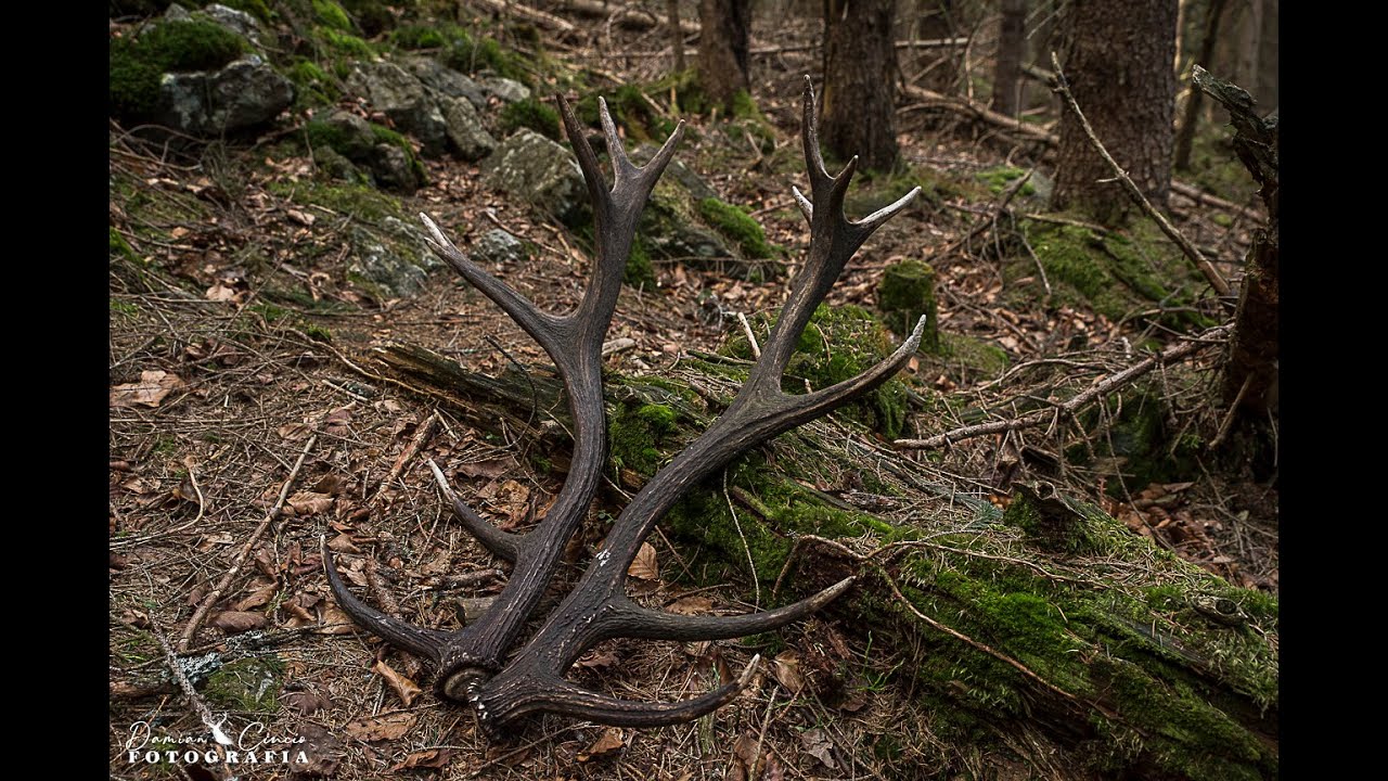 ZRZUTY 2025 Cały sezon!