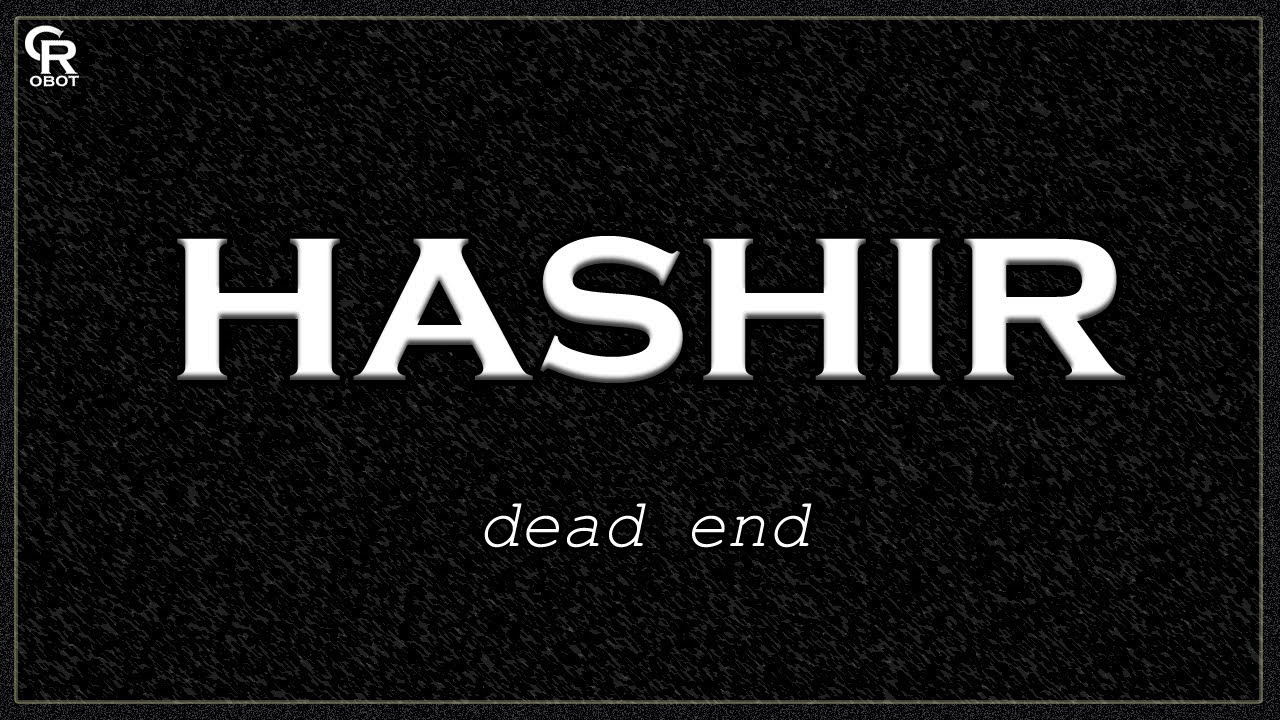 hashir - dead end (Slowed + Reverb)